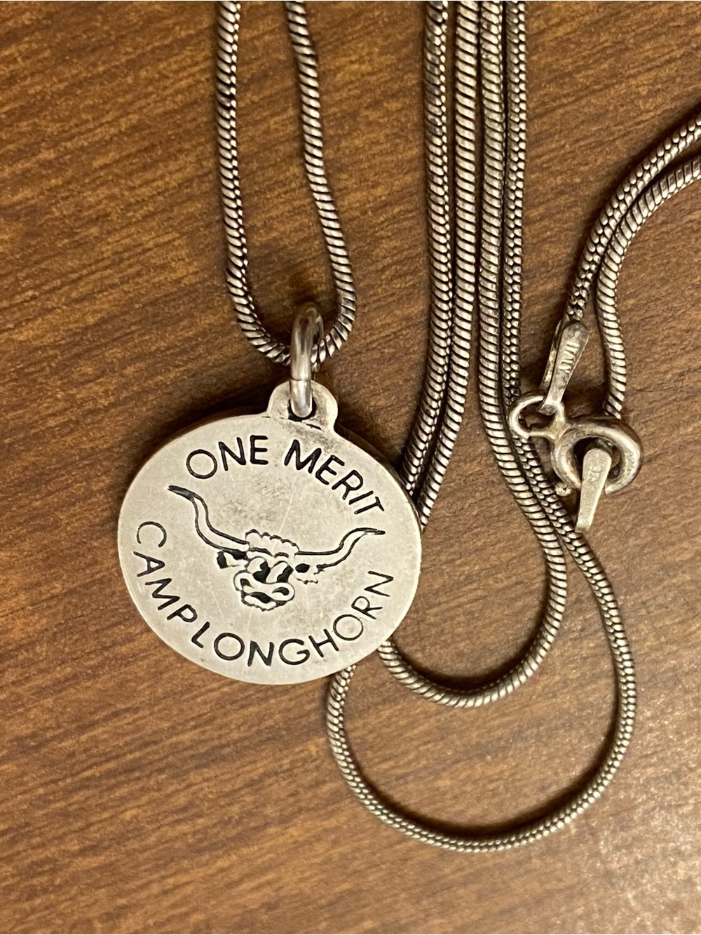 One Merit Camp Longhorn Pendant on Chain Sterling Silver 925